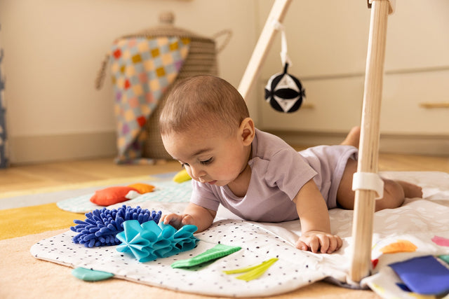 Lovevery Play Gym Review: Is It Worth It? What 161 Real Parents Say — EasyTot guide