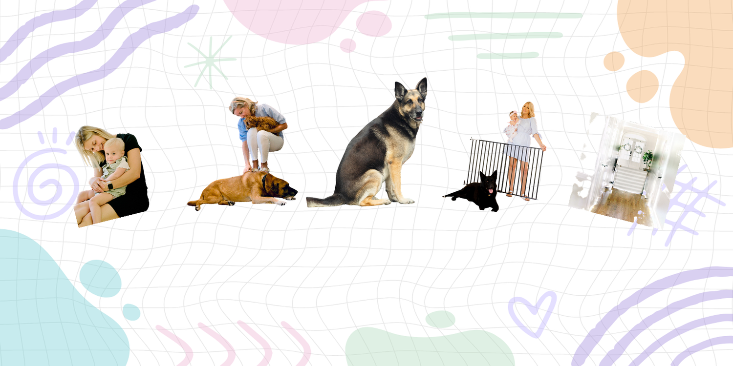 Best baby gates for childproofing your home - EasyTot guide