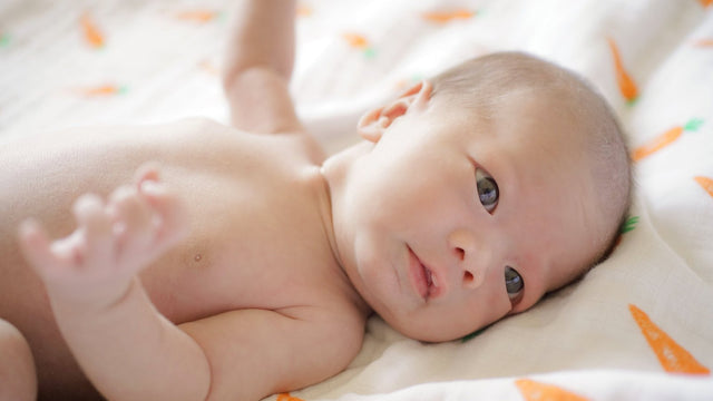 Newborn baby lying on a white organic muslin swaddle printed with orange carrots, gazing up at the camera