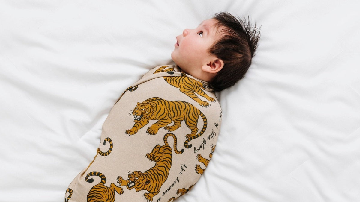 Baby swaddled in a soft blanket