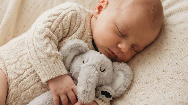 Newborn baby sleeping while cuddling a plush elephant lovey