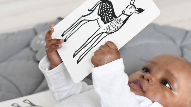 Newborn holding a black and white high contrast art card during floor time