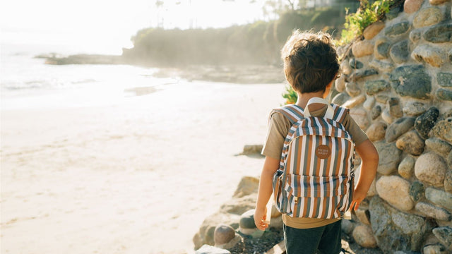 Young boy with a striped mini backpack walking along a rocky beach path at the end of a family drive