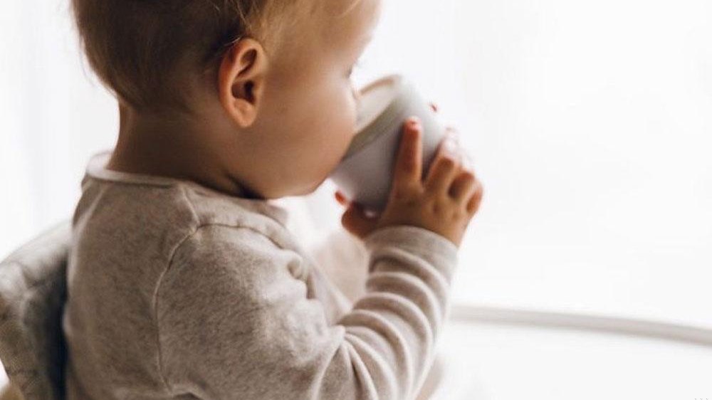 Baby in a high chair eating