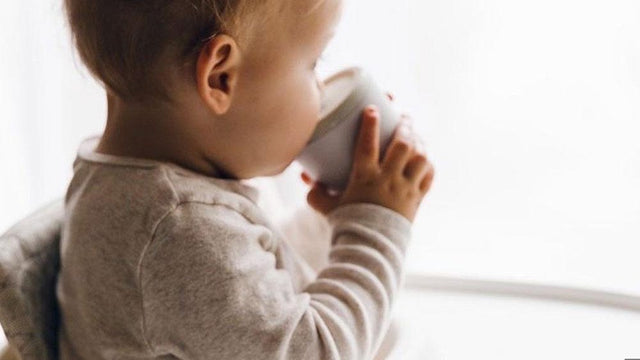 Baby in a high chair eating