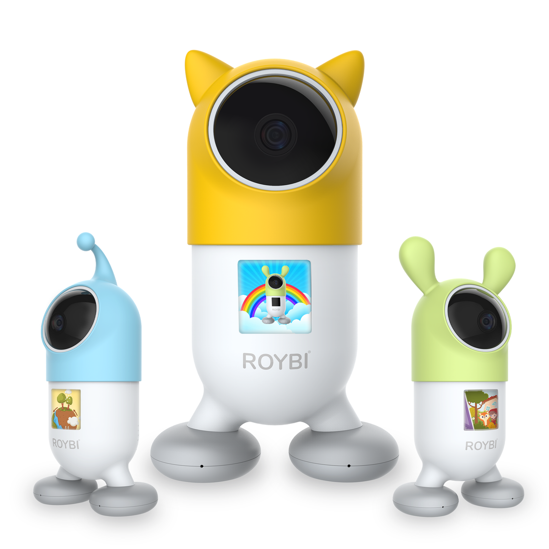 Roybi Robot
