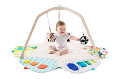 Play Mats & Gyms