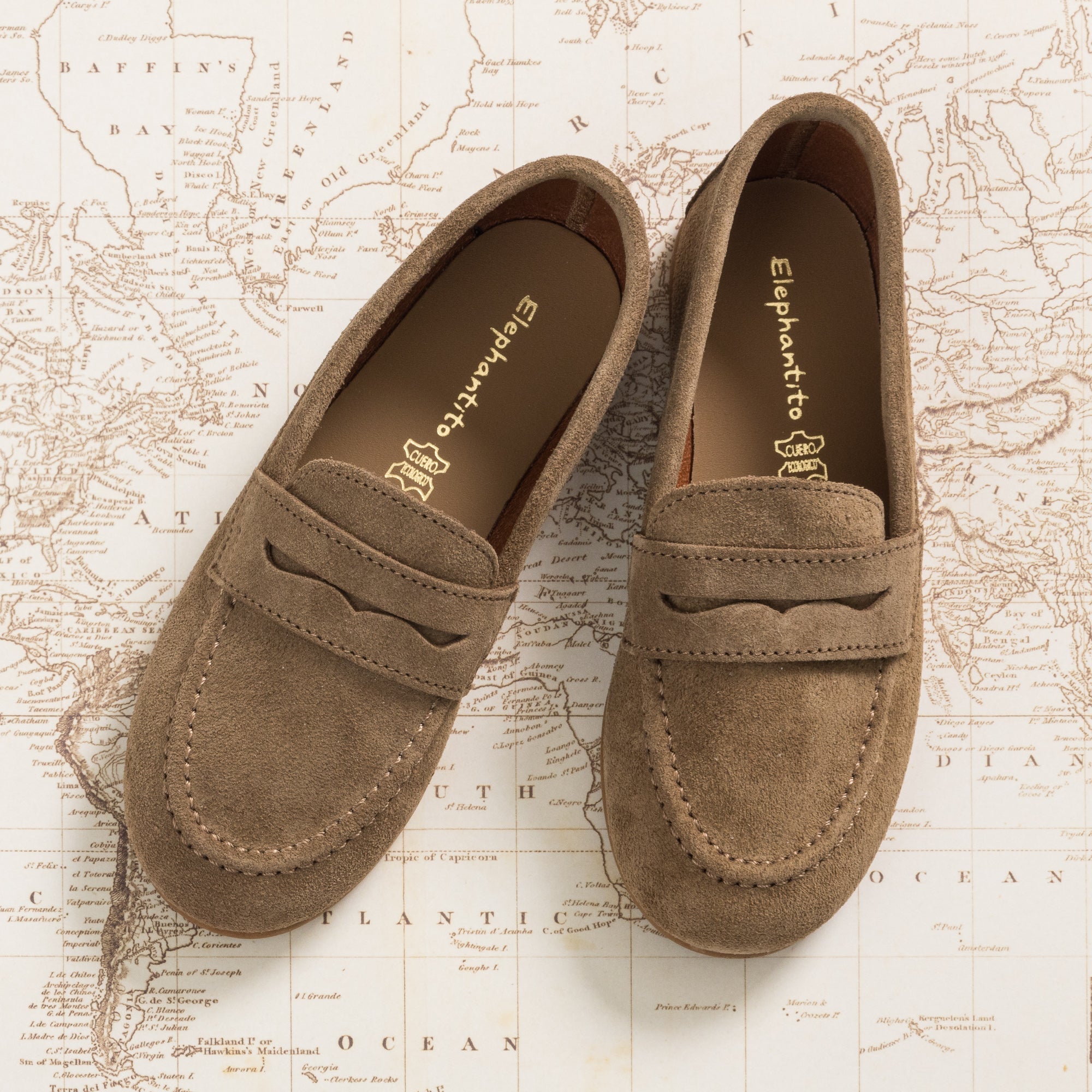 Elephantito suede penny loafer editorial