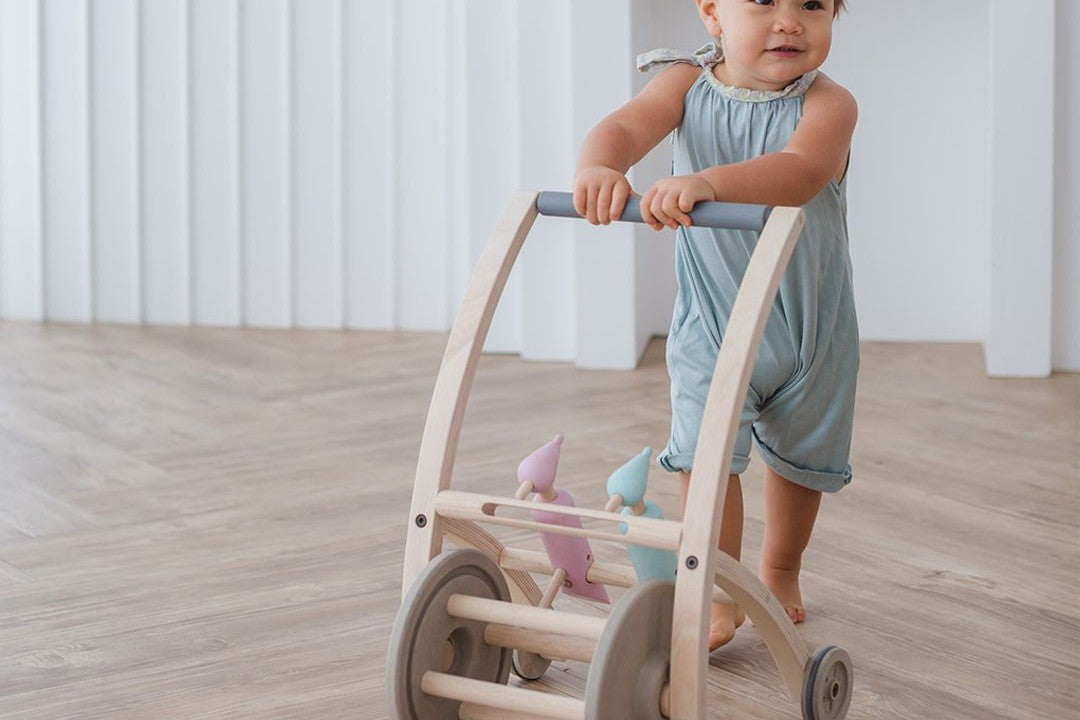 Push and Pull Toys