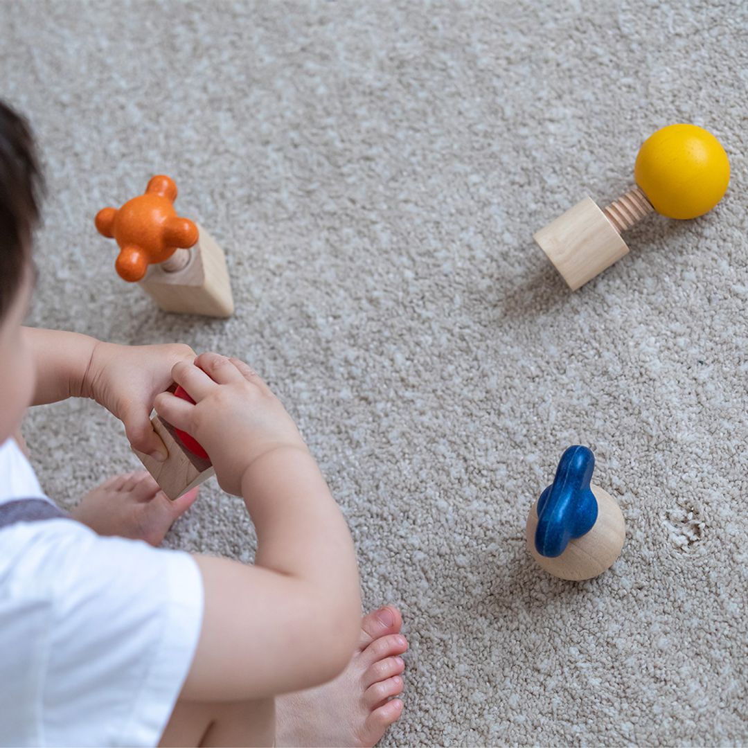 PlanToys