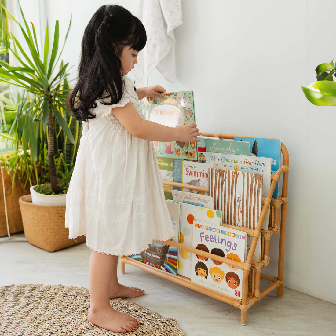 Montessori Shelves