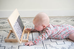 Educational Toys for Babies