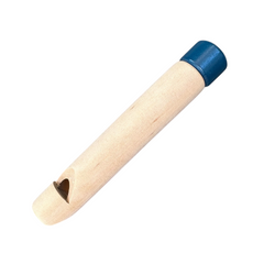 Kids Wind Instruments