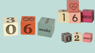 Baby Milestone Blocks