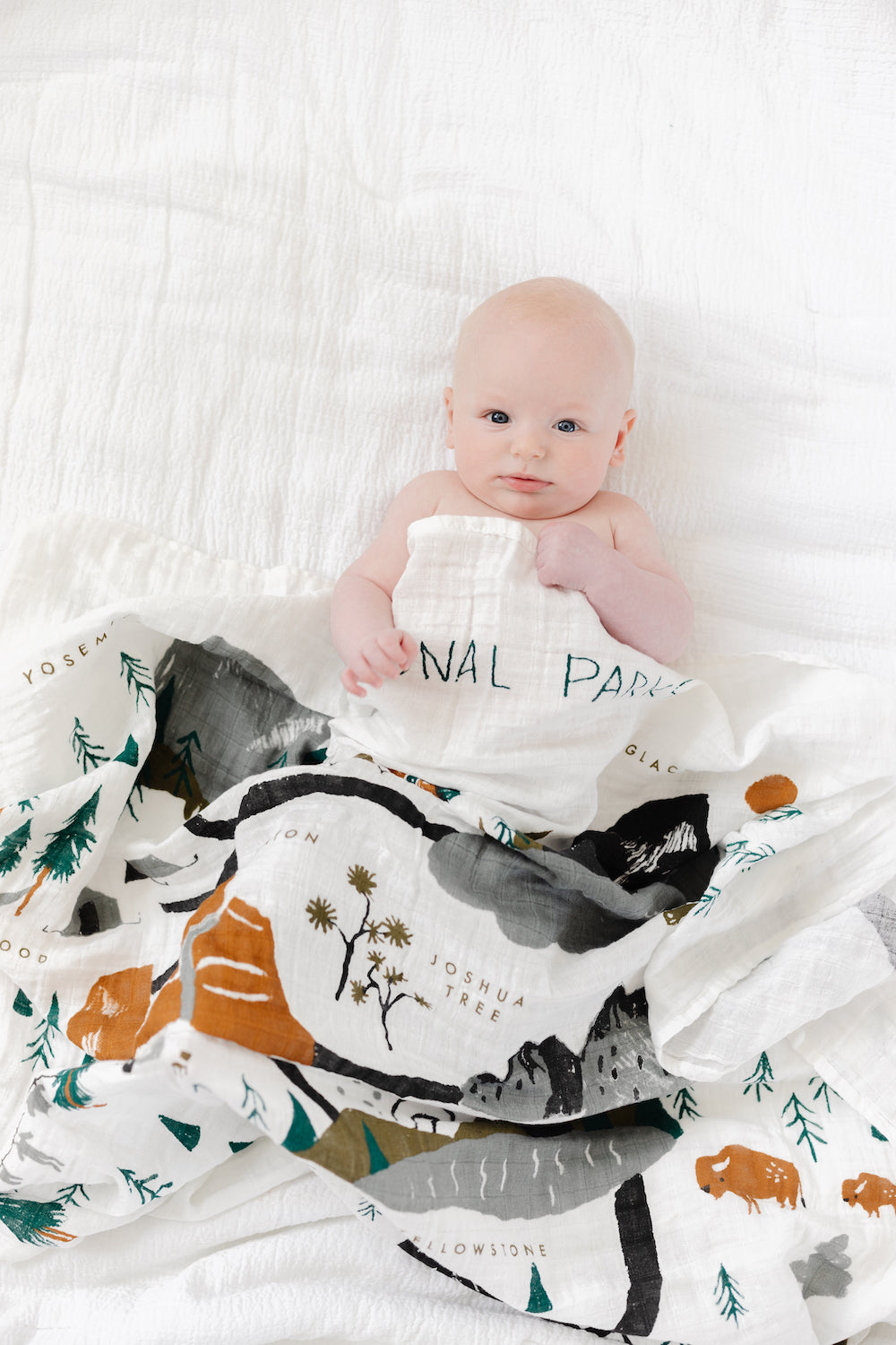 Clementine Kids National Parks swaddle editorial