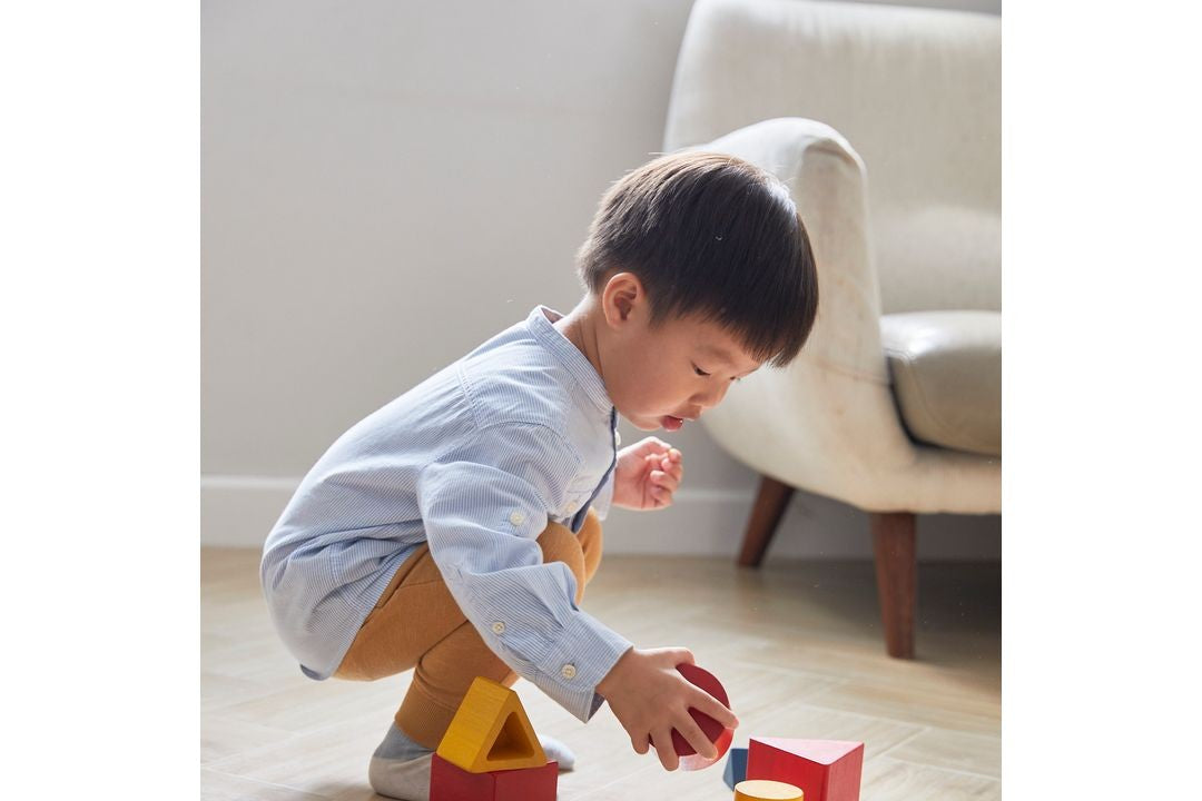 Sorting & Stacking Toys