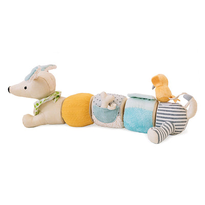 Sensory Toys