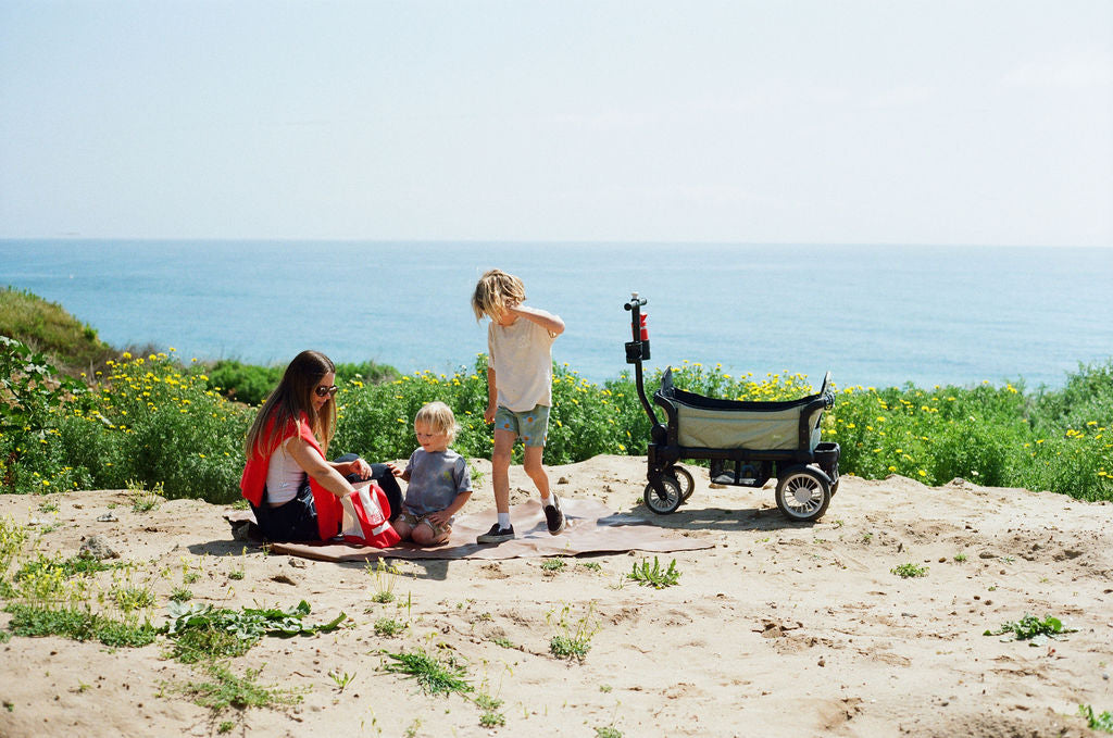 The Wagon (2 Canopy Bundle) - Spring Fern