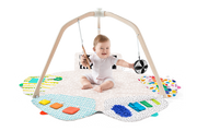 The Play Gym