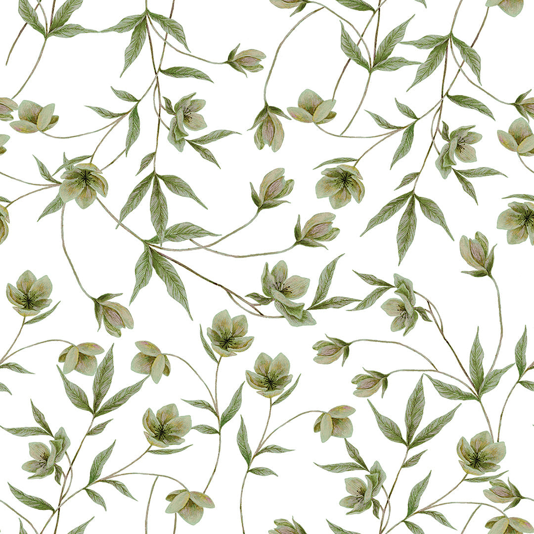 Wellington - Sample Wallpaper, Hellebores (green)