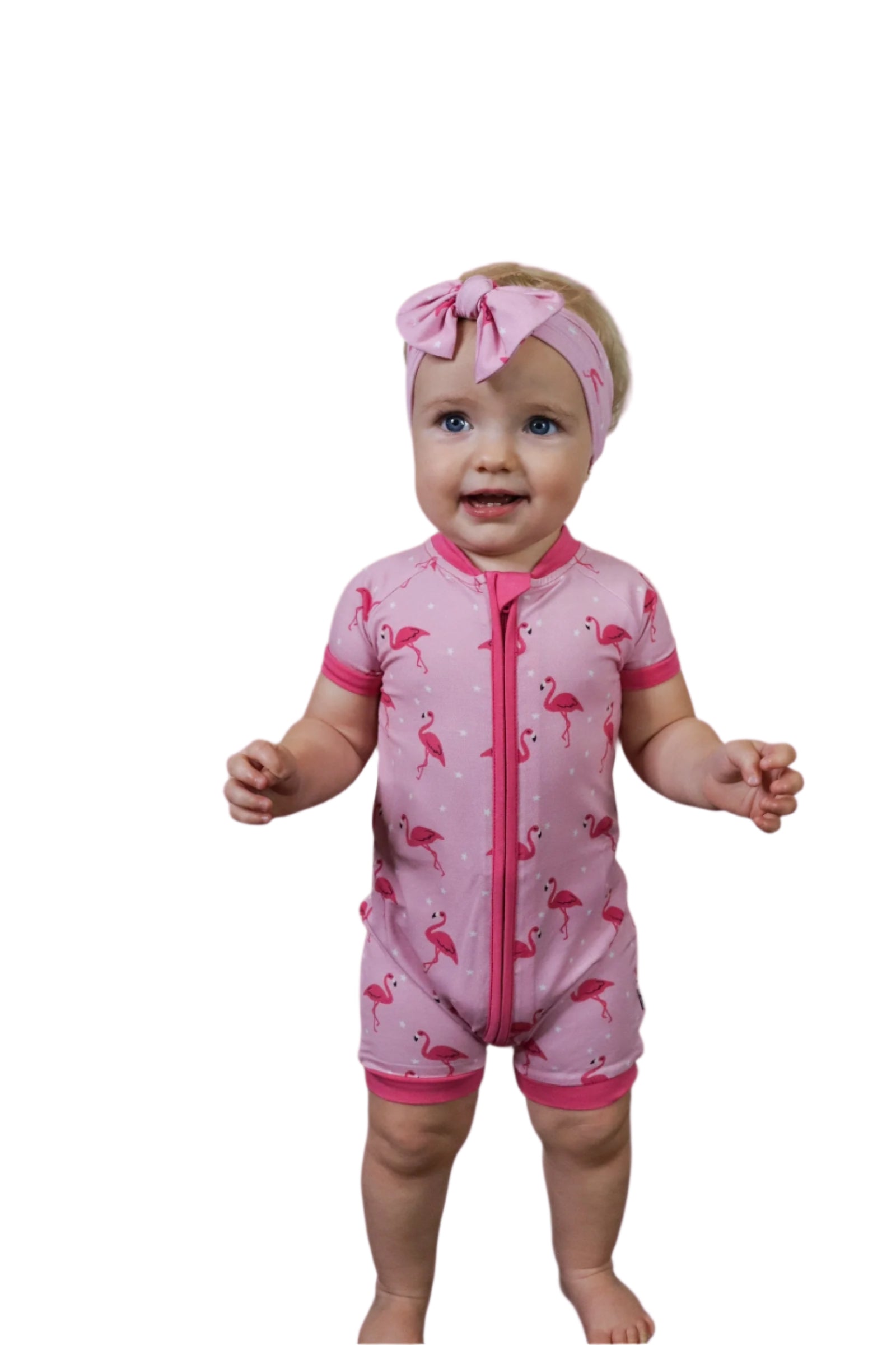 Flocking Flamingos Dream Shortie