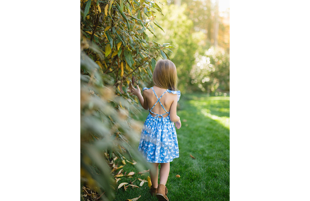 Ruffle Sleeve Dress In Ducks