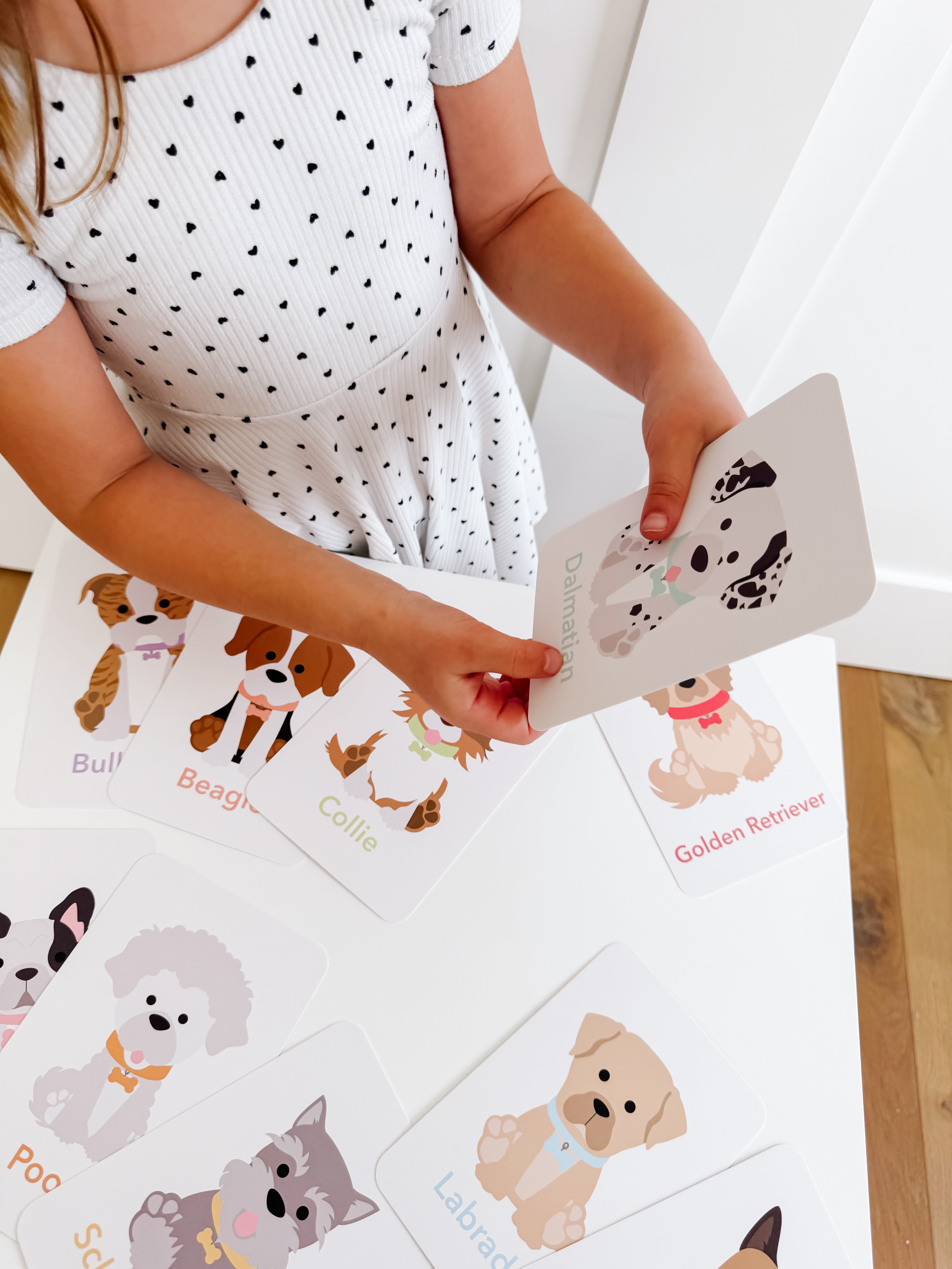 Dog Breed Flash Cards