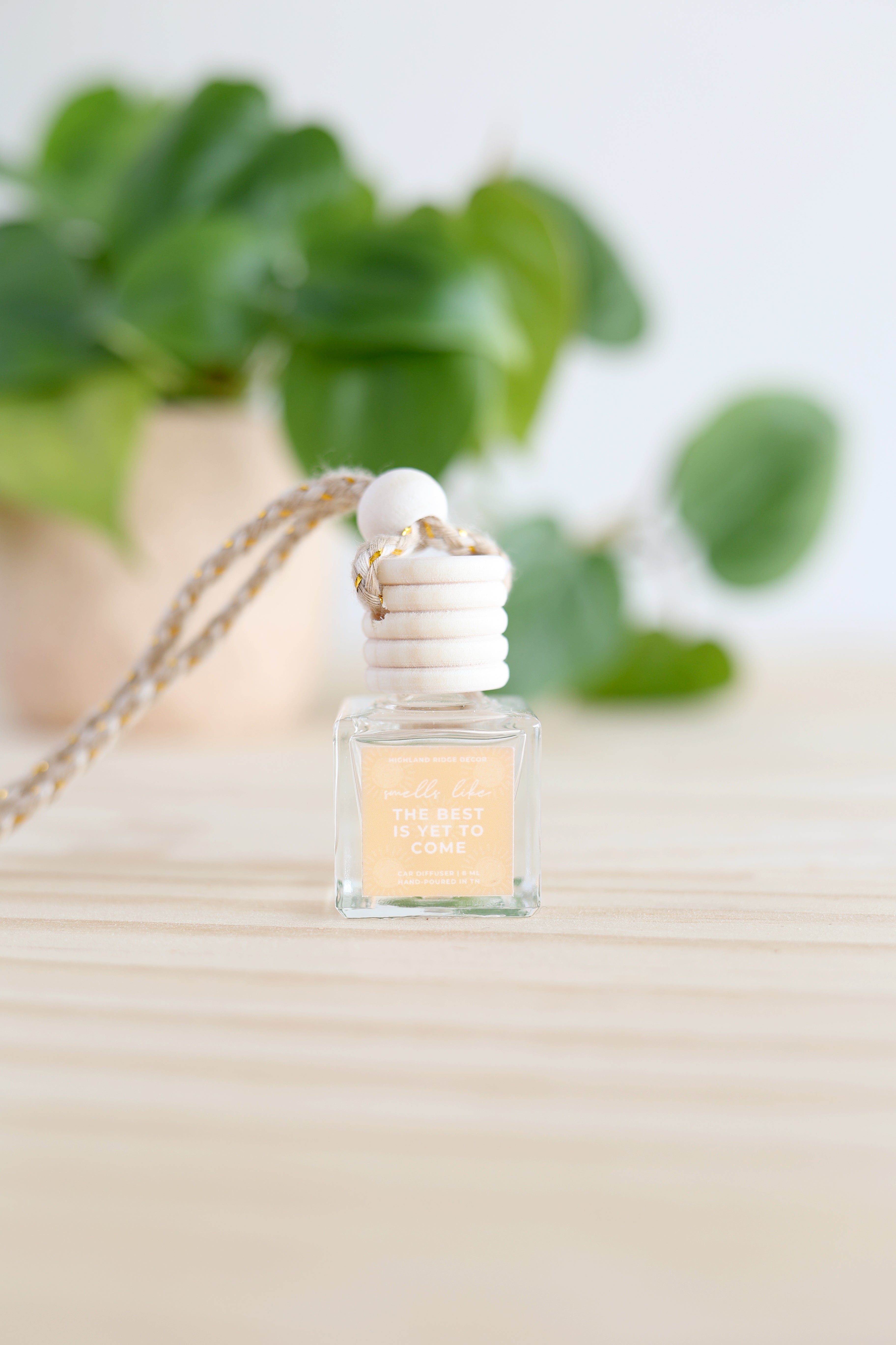 The Best Is Yet To Come Car Diffuser