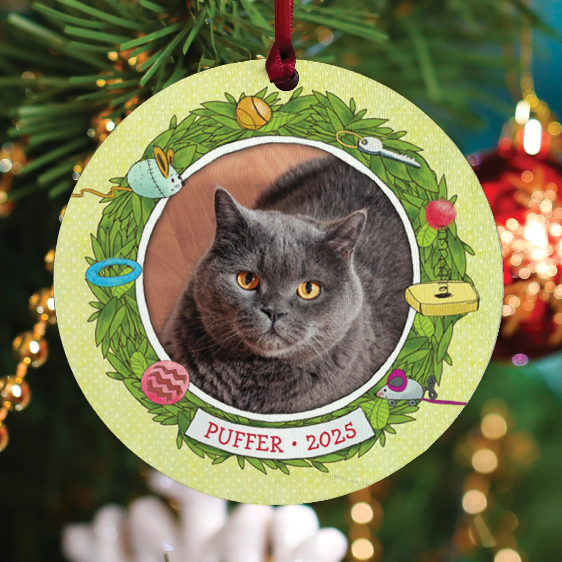 If My Cat Could Talk Personalized Book and Ornament Gift Set