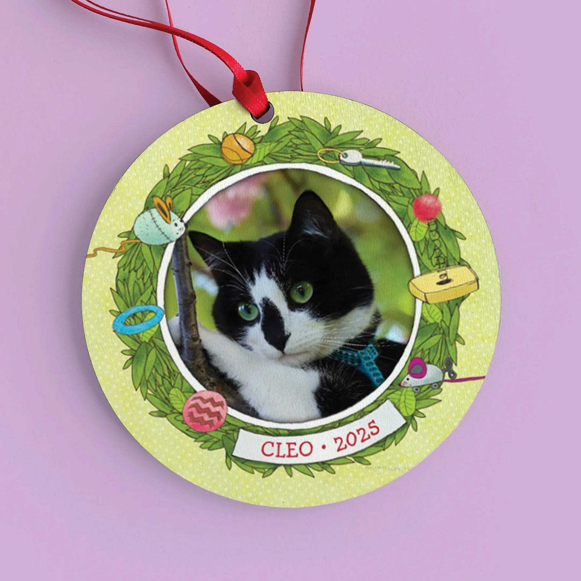If My Cat Could Talk Personalized Book and Ornament Gift Set
