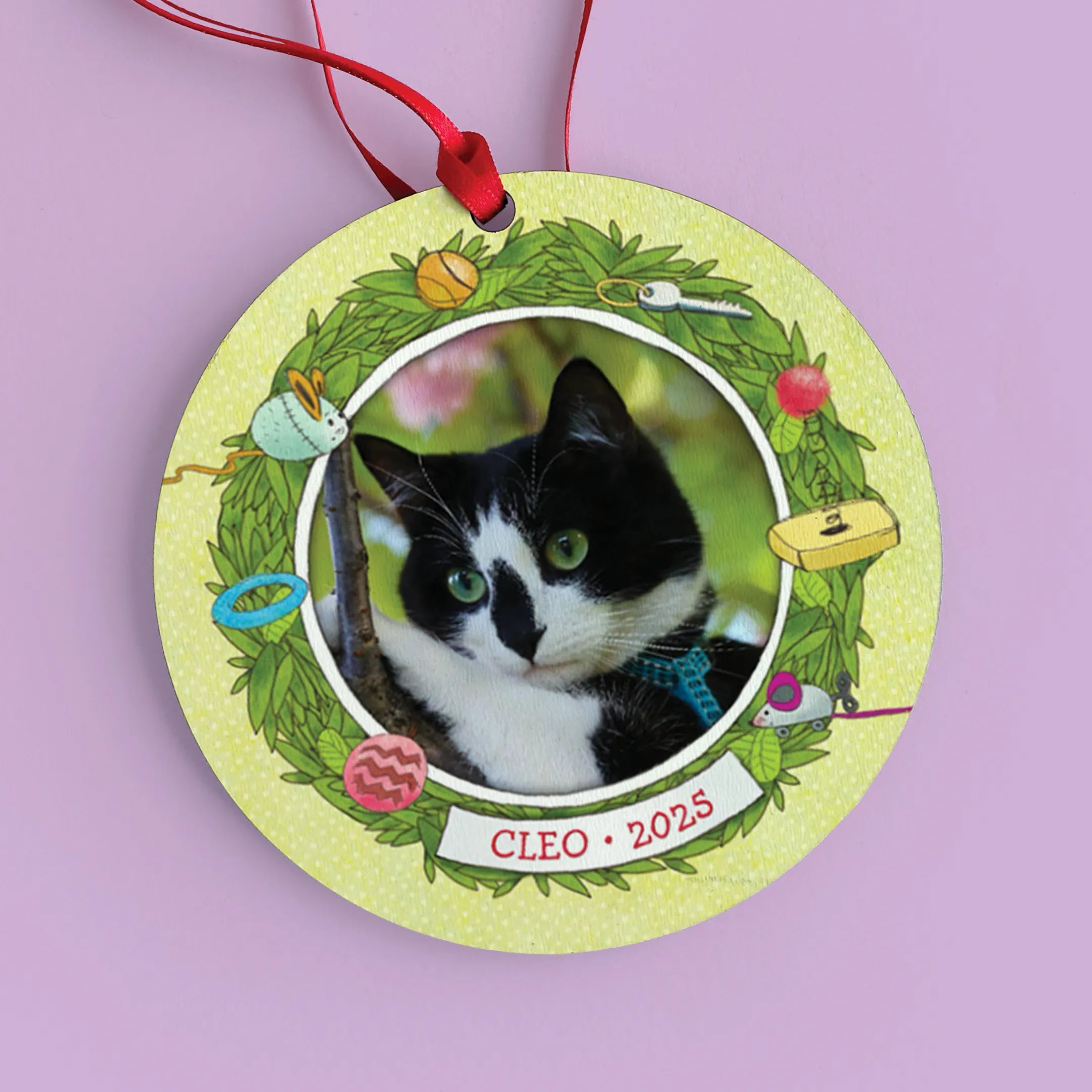 If My Cat Could Talk Personalized Book and Ornament Gift Set