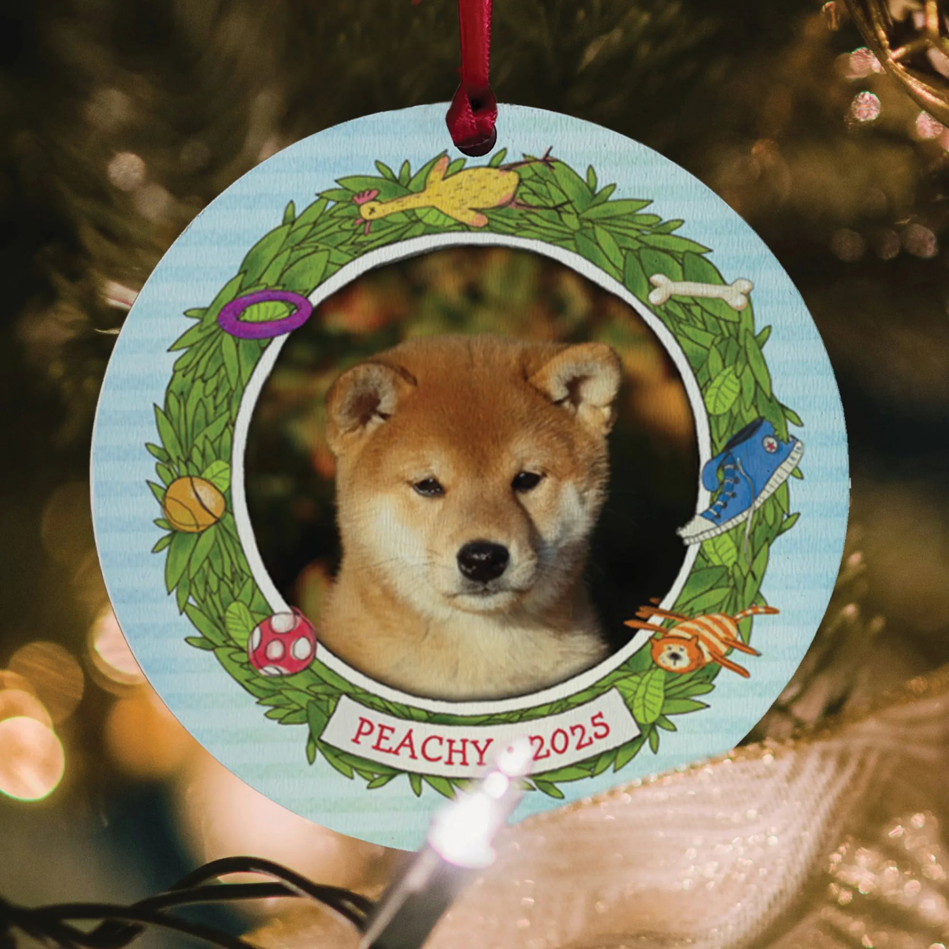 If My Dog Could Talk Personalized Book and Ornament Gift Set