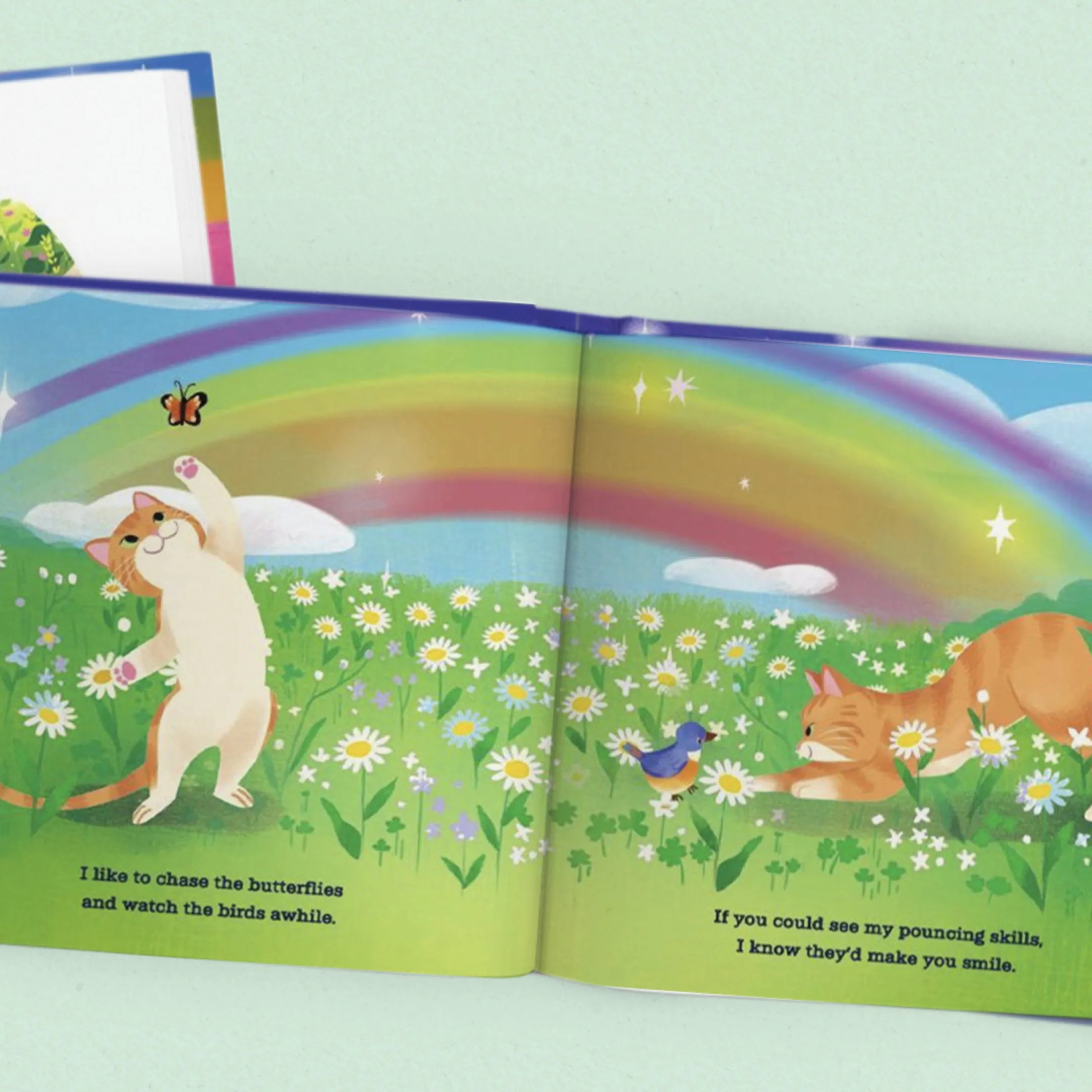 Rainbow Bridge Personalized Cat Book