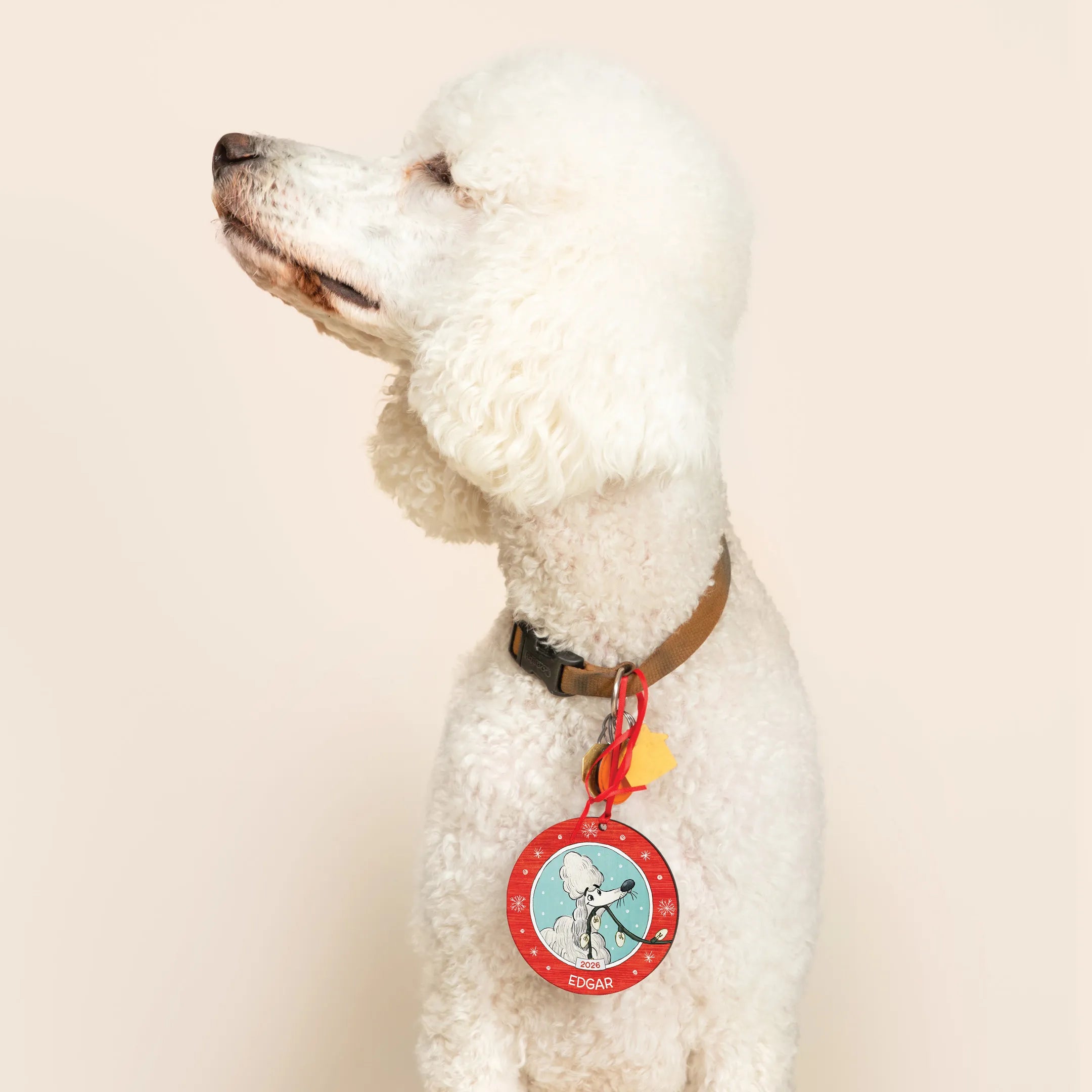Dog Lovers Personalized Ornament