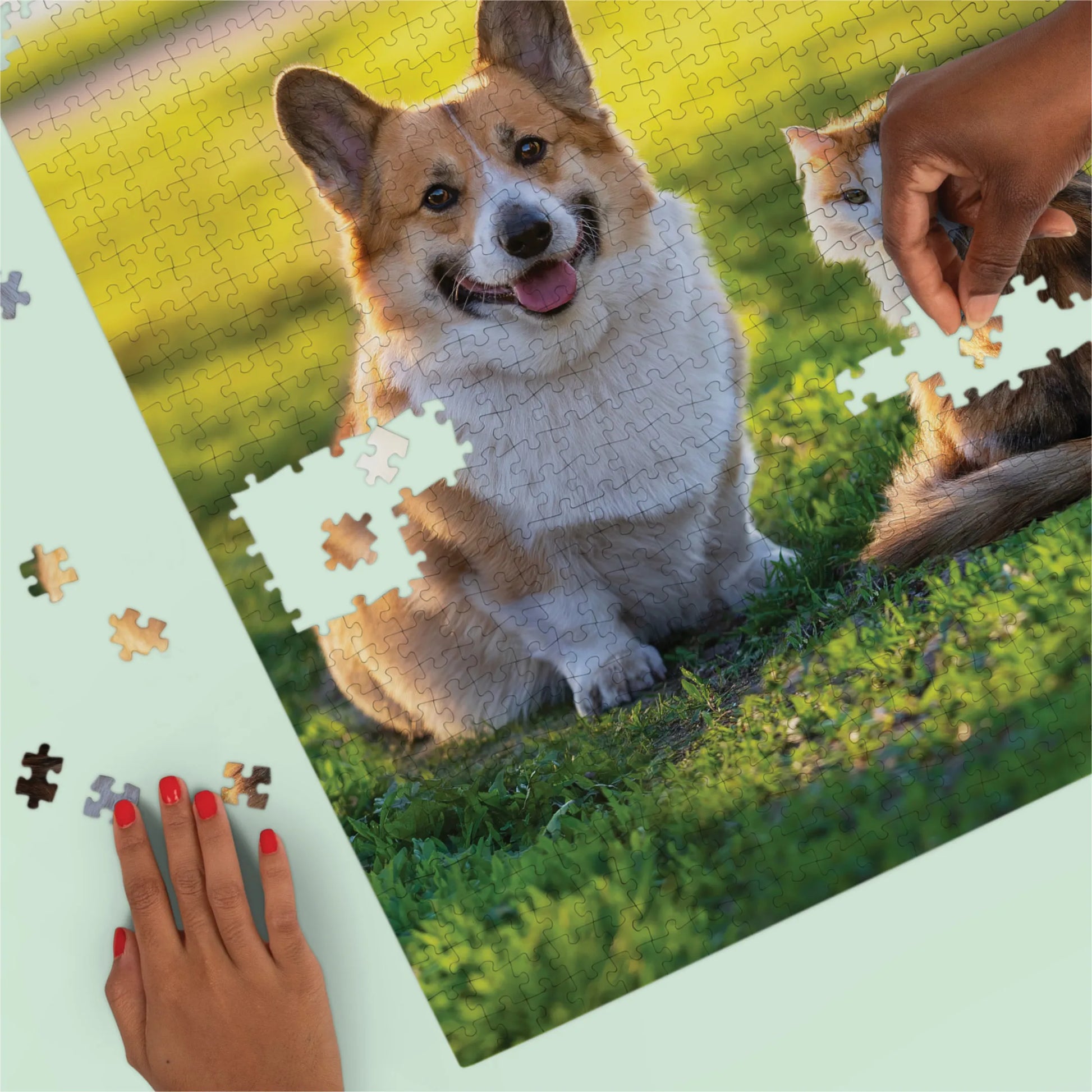 Premium Personalized Pet Photo Puzzle, Portrait / Vertical – 1,000 Pieces