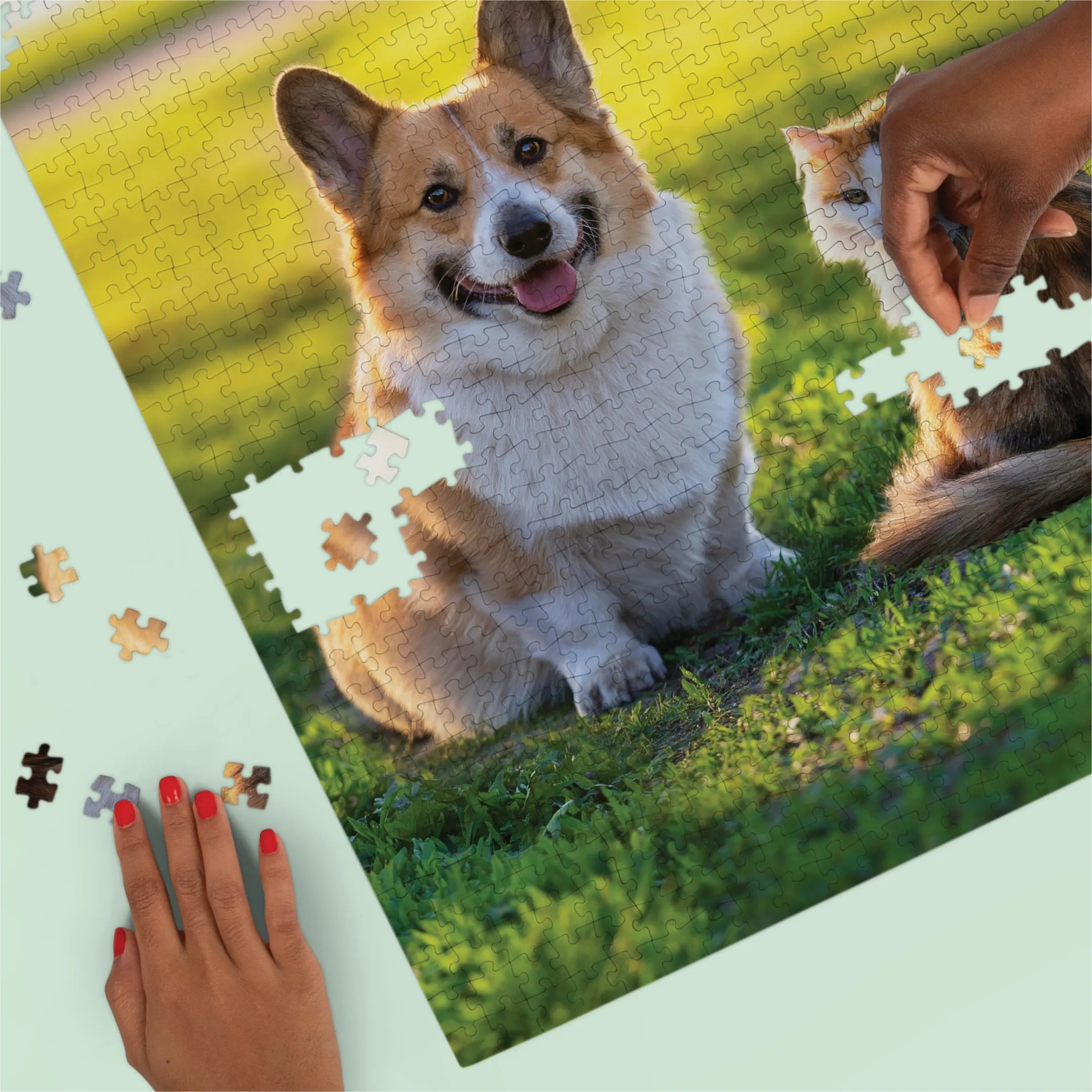 Premium Personalized Pet Photo Puzzle, Portrait / Vertical – 1,000 Pieces