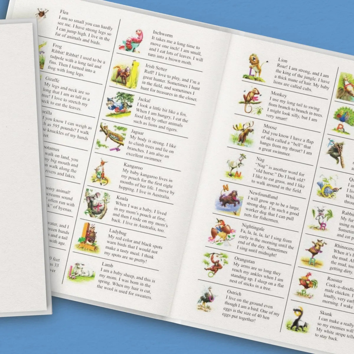 My Very Own Name Personalized Book and Giraffe Gift Set