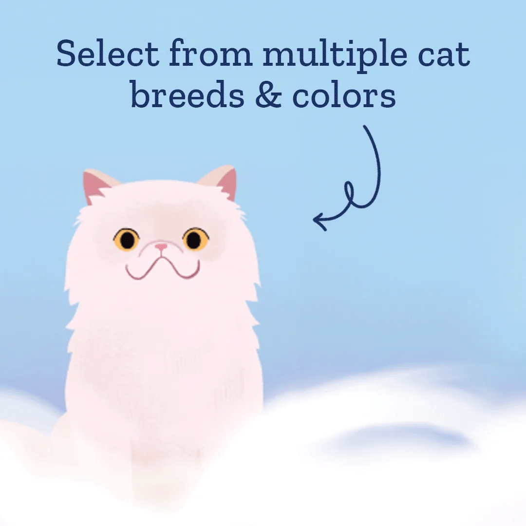 Rainbow Bridge Personalized Cat Book