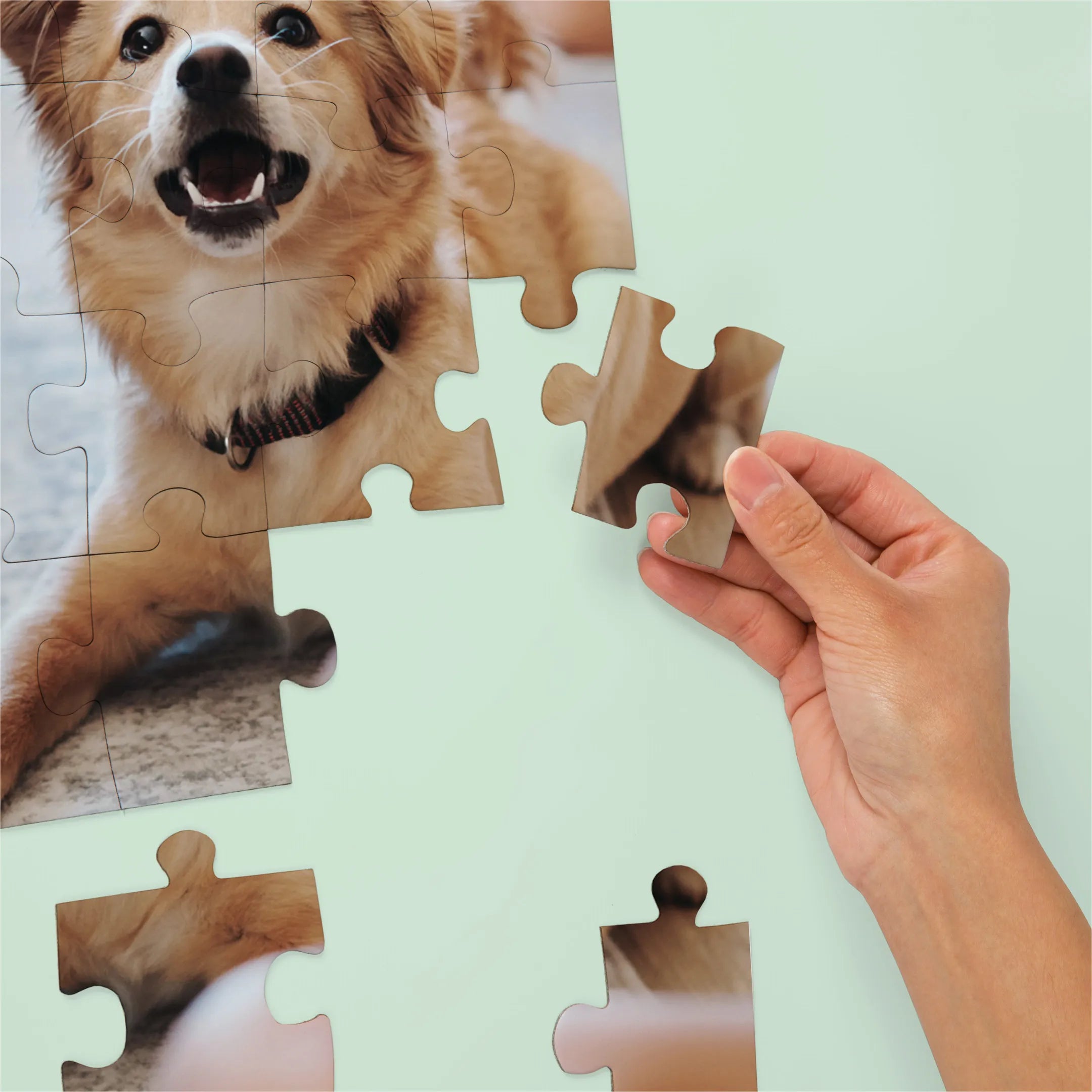 Premium Personalized Pet Photo Puzzle, Portrait / Vertical – 24 Pieces