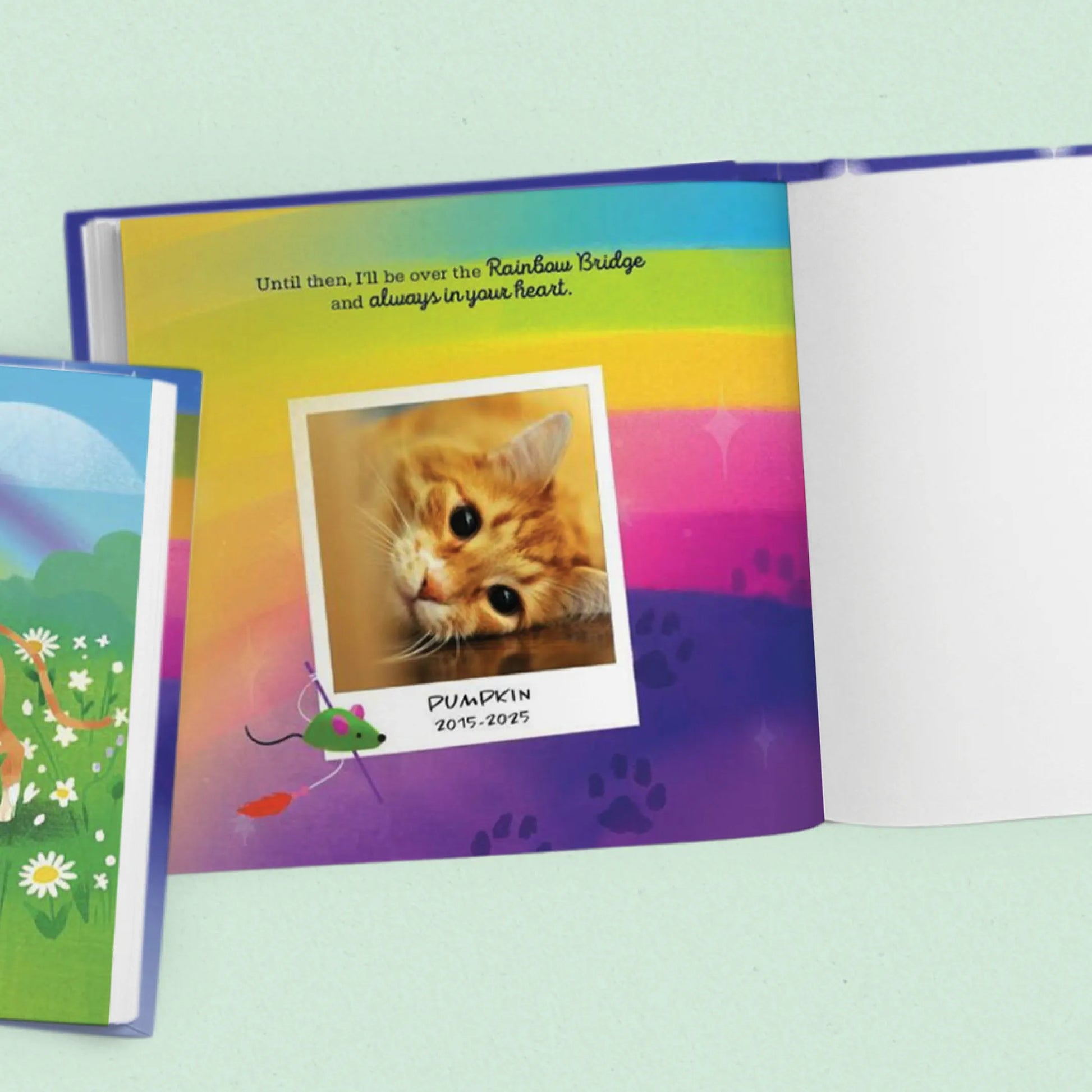 Rainbow Bridge Personalized Cat Book