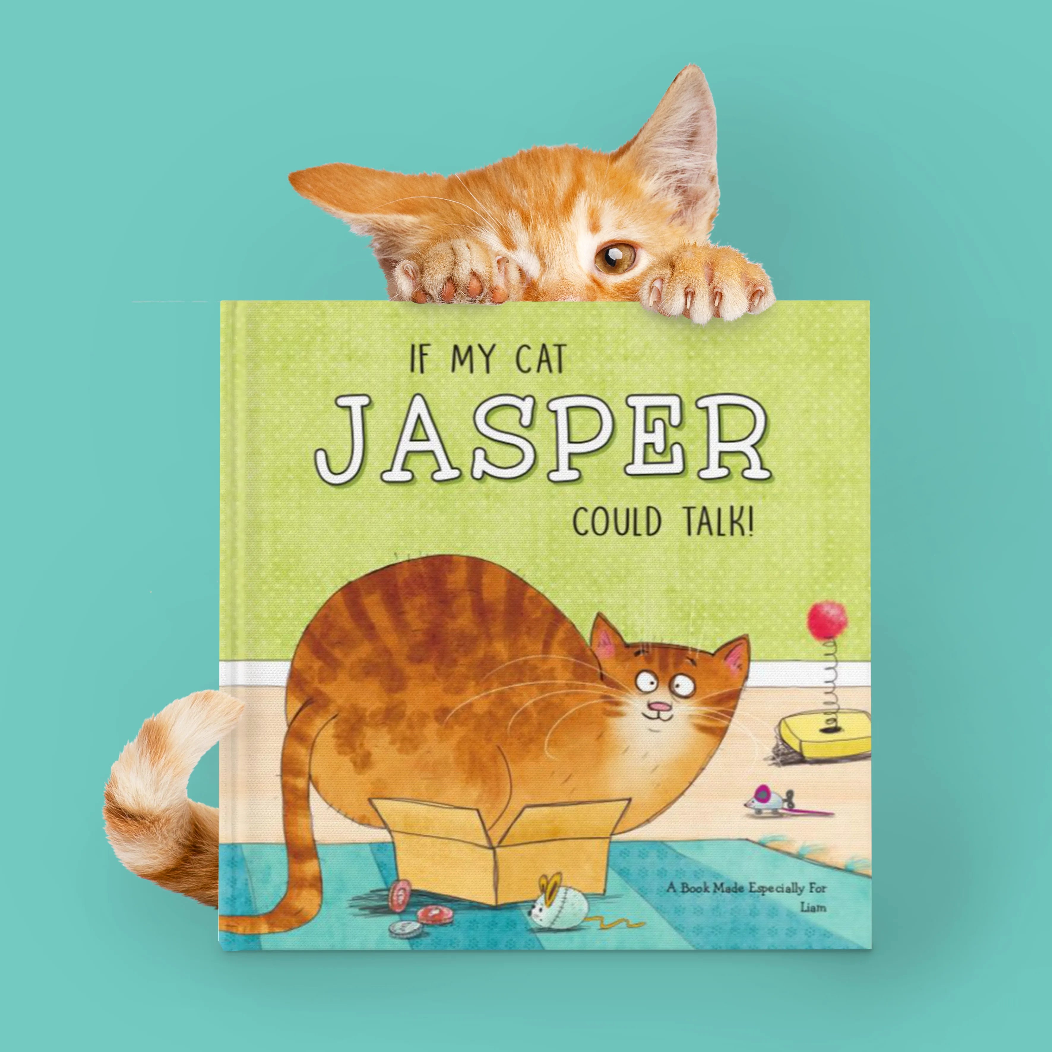If My Cat Could Talk Personalized Book and Ornament Gift Set