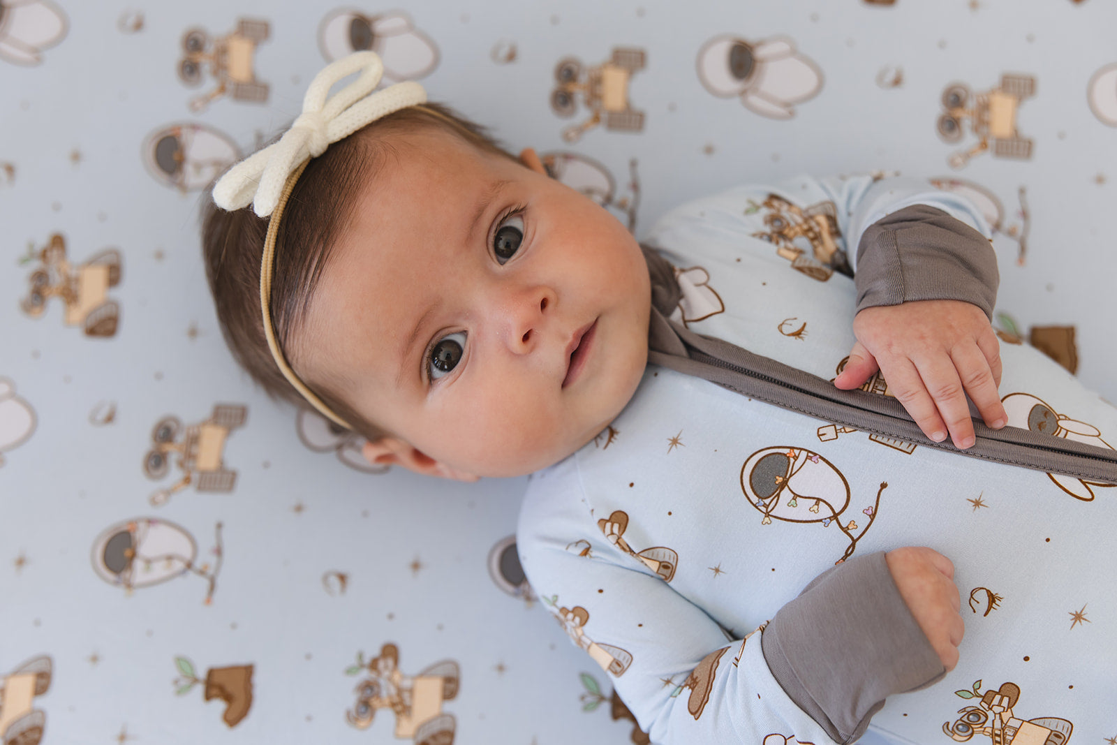 Trash Planet - Zippy