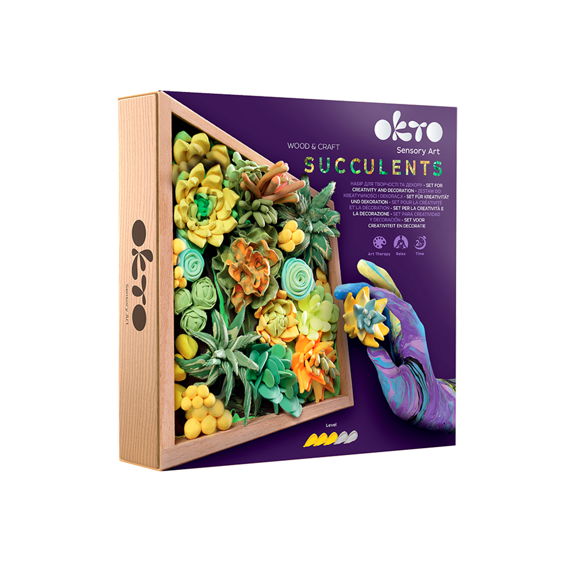 Okto Sensory Art 3d Woodcraft “energy” – Succulent Craft Kit