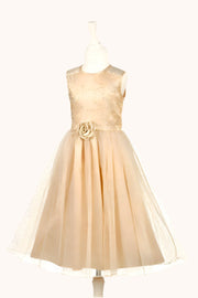 Noraline - Party Dress (3 Sizes)