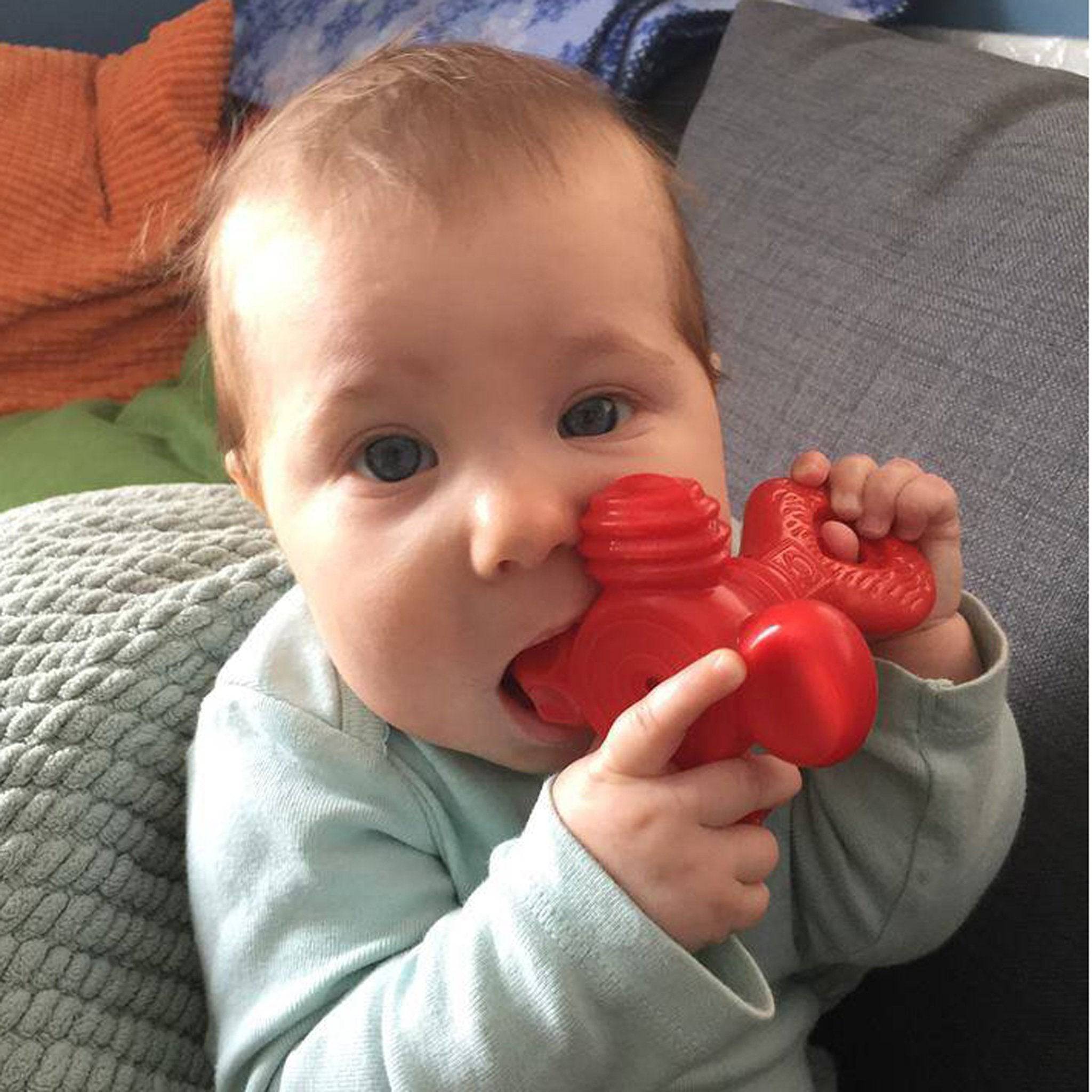 Super Yummy Teether