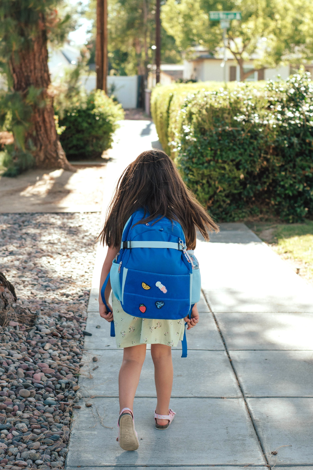 Customizable Backpack