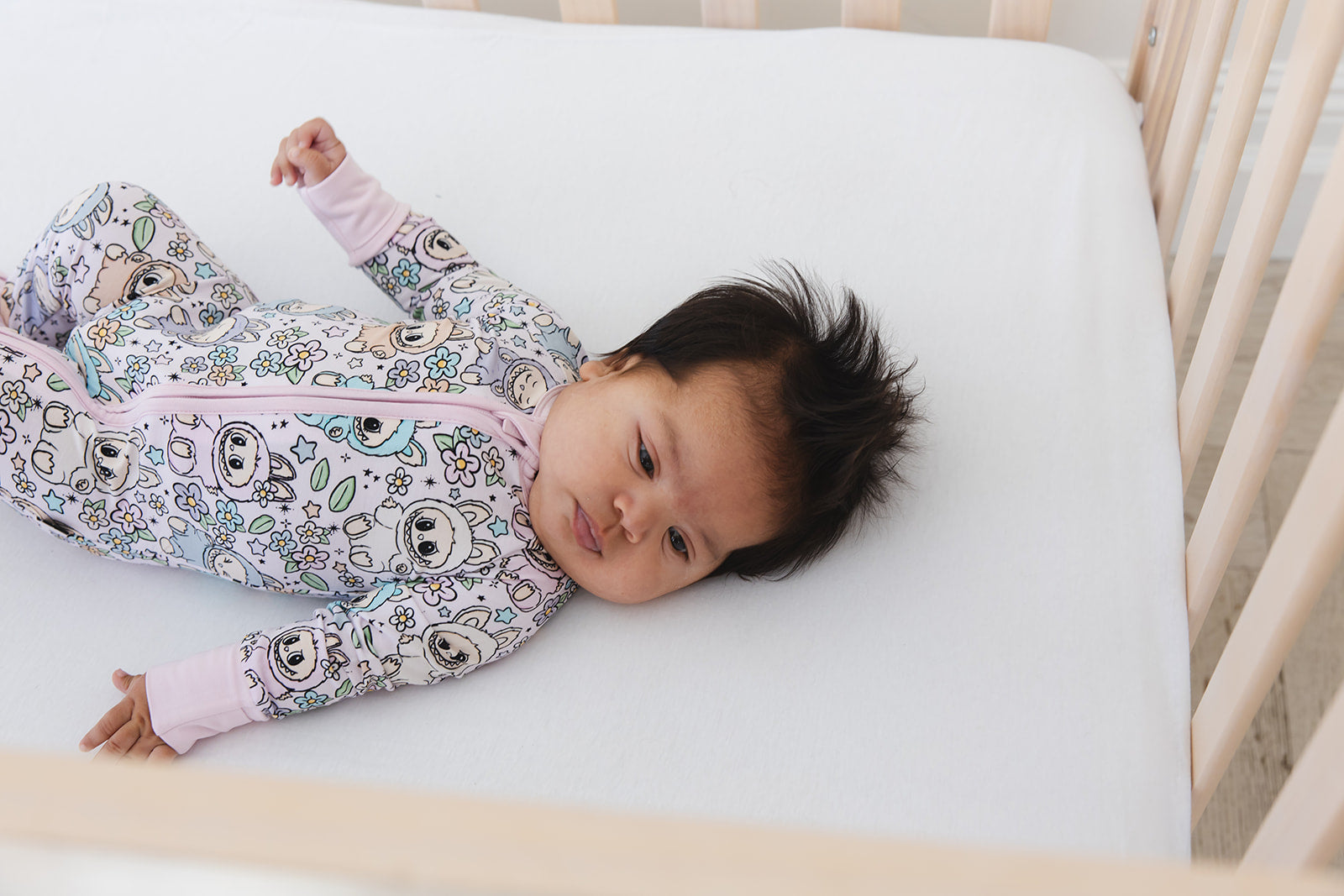 The Monsters - Zippy