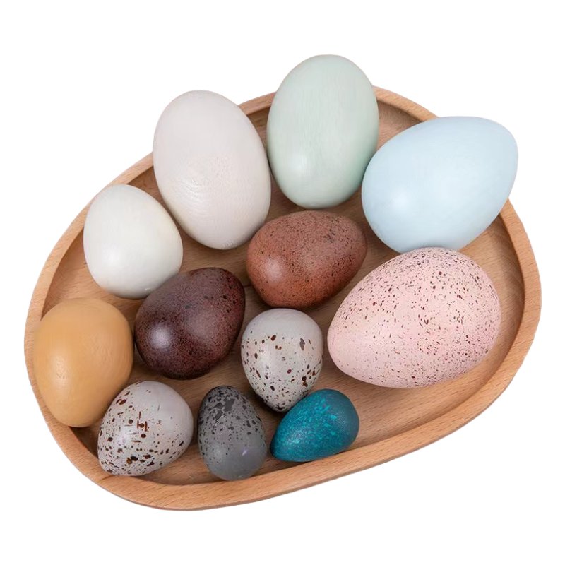 12 Pcs Wooden Bird Eggs Set