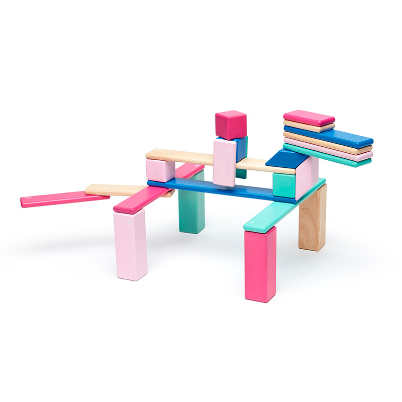 24-piece Set <br>magnetic Wooden Blocks <br>tegu Classics