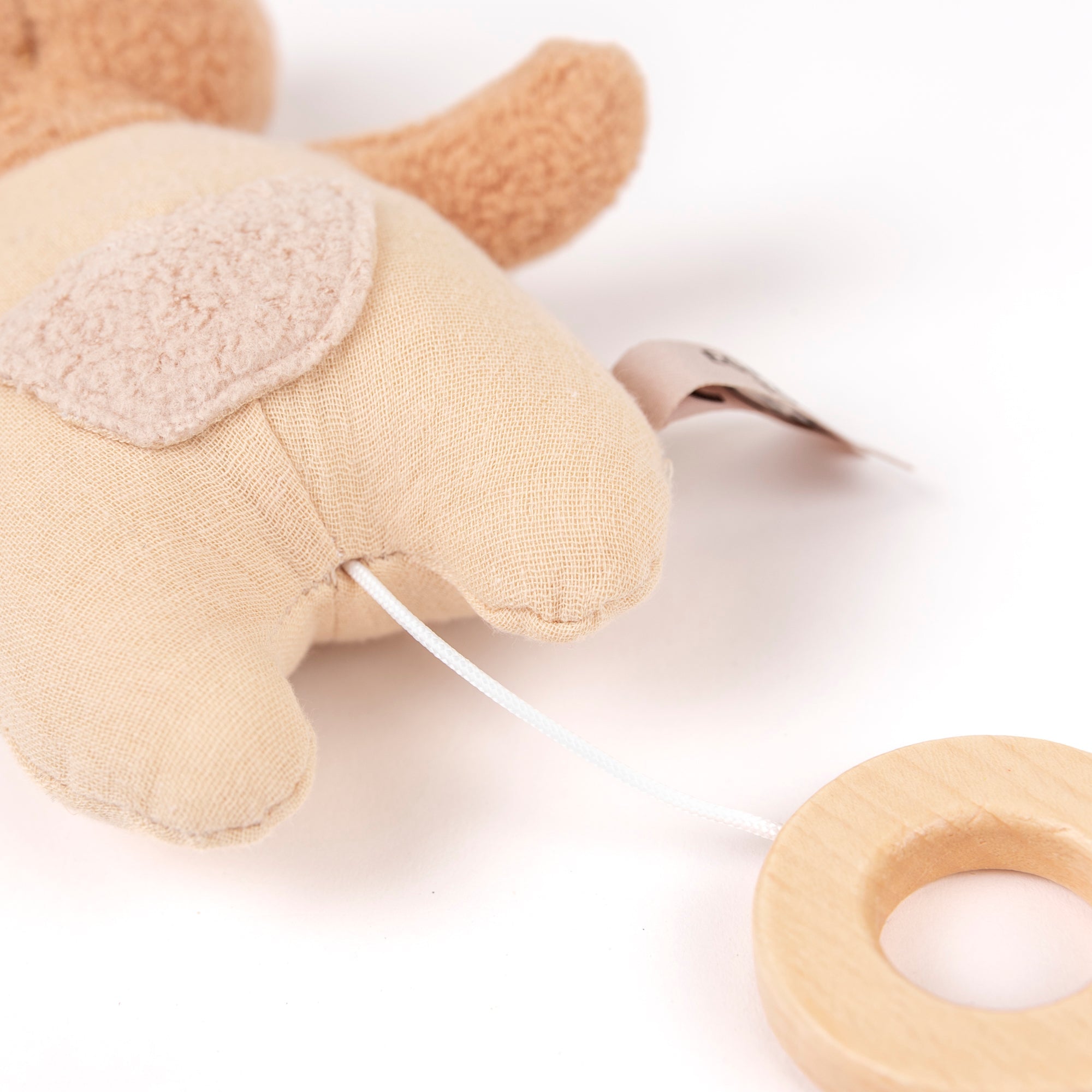 Marcel Bear Musical